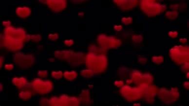唯美浪漫爱心情人节背景视频视频的预览图